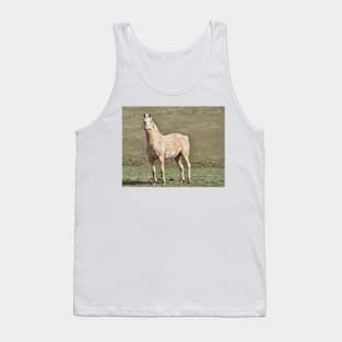 Quest Tank Top